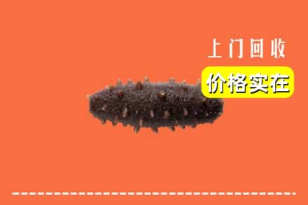 收购资讯:白河县回收海参