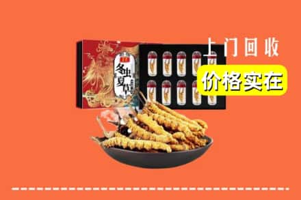 白河县回收虫草